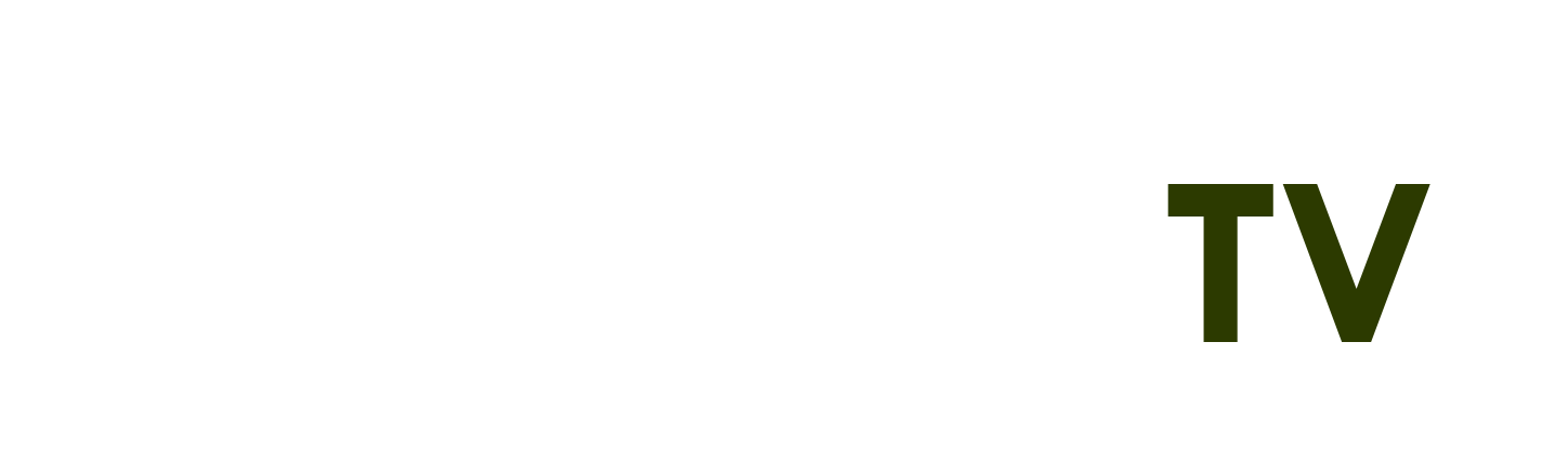 code gomu huyền thoại mới nhất